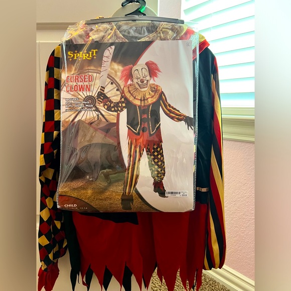 Halloween costume - Picture 1 of 1